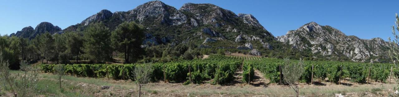 Les Lavandins-Gite Frédéric Saint-Rémy-de-Provence Exterior foto