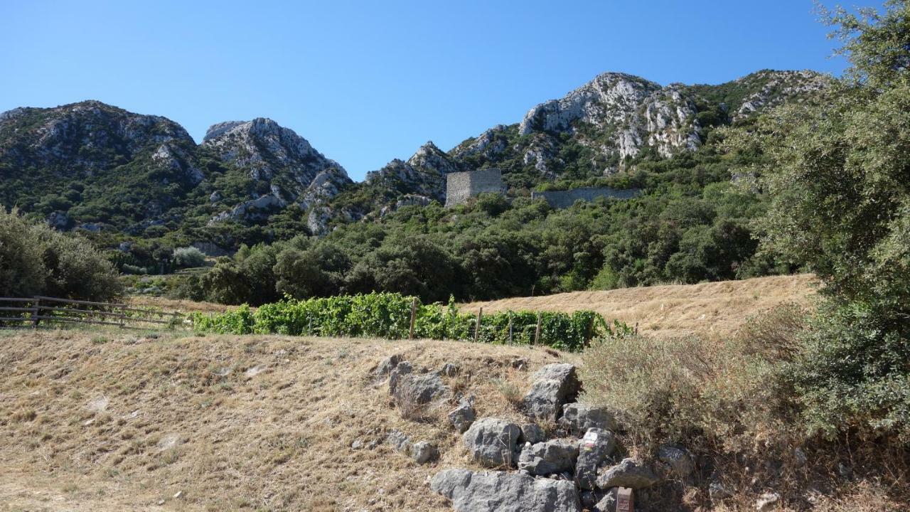 Les Lavandins-Gite Frédéric Saint-Rémy-de-Provence Exterior foto
