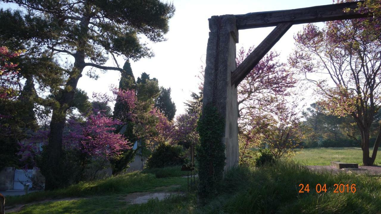 Les Lavandins-Gite Frédéric Saint-Rémy-de-Provence Exterior foto
