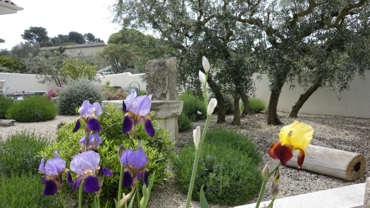 Les Lavandins-Gite Frédéric Saint-Rémy-de-Provence Exterior foto